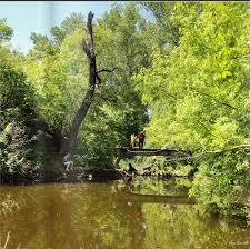 Parcul Sticlăriei