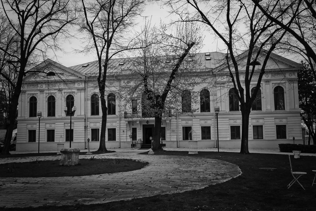 Palatul Ghica Tei