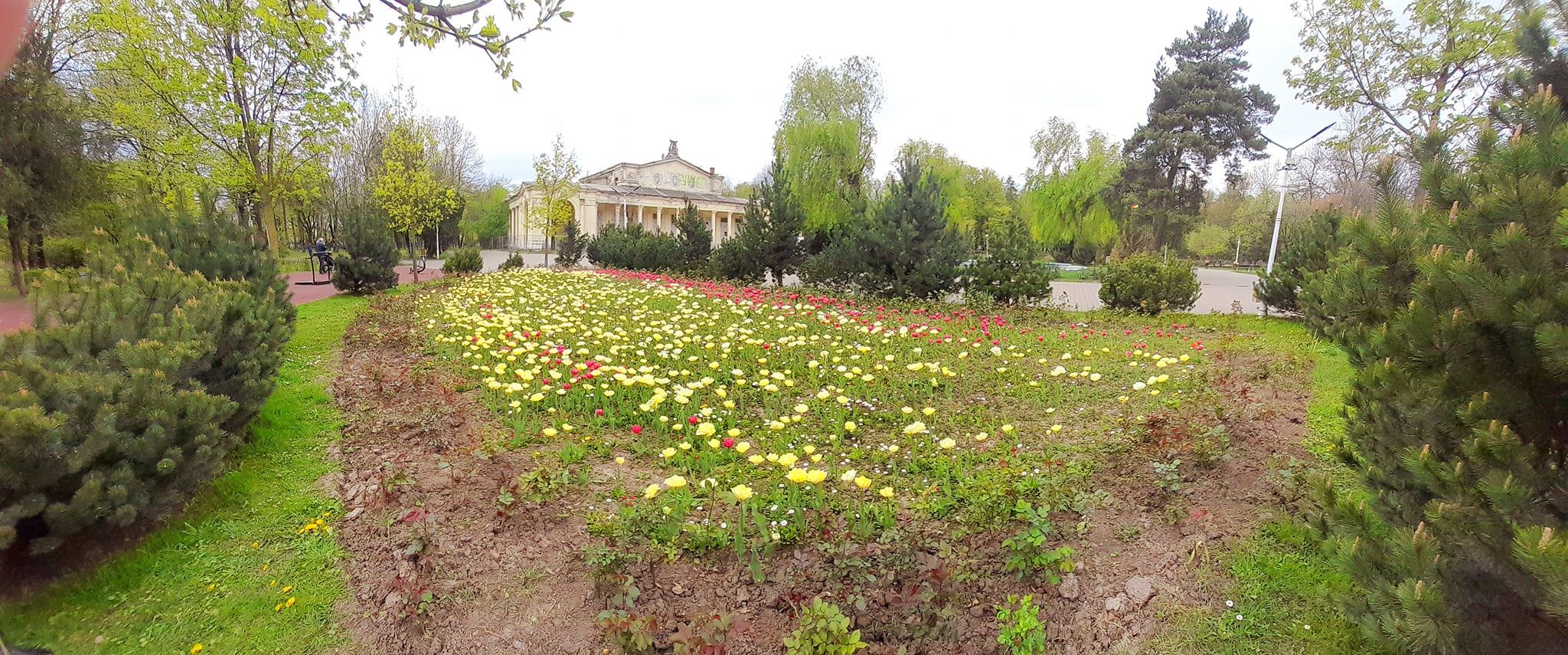 Parcul Bazilescu