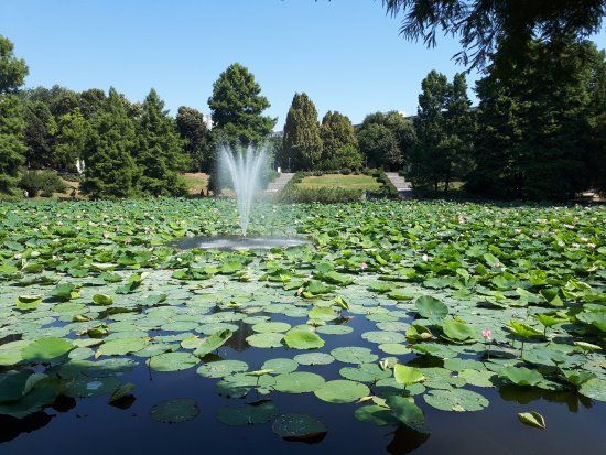 Parcul Circului de Stat