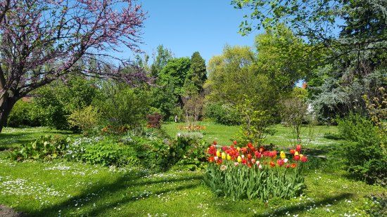 Grădina Botanică din București